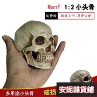 【臺灣公司 可開發票】AEA086 藝用人體肌肉骨骼骷髏頭骨繪畫半胸像解剖頭顱素描頭蓋骨模型美術
