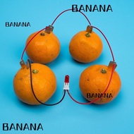 BANANA1 Electricity Experiments Science Kit, Potato Powered STEM Experiment Kit Fruit Battery Scienc