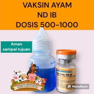 Vaksin medivac NDIB ND IB killed 500 1000 untuk ayam anti telo aratan jago bangkok
