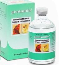 Gentamin Obat Ayam Gentamin Injeksi Obat Ayam Sakit Gentamin Suntik
