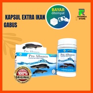 Pro albumin Snakehead Fish Extract