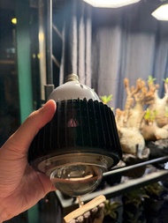 象牙宮 出珀譽新款植物燈60w
