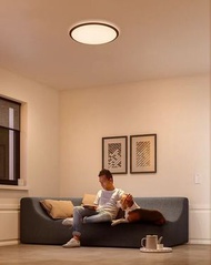 飛利浦 - Philips 32809 18W 2700K LED 吸頂燈 3段光暗