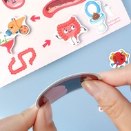 Montessori Busy Book for Kids Anatomy Busy Busy Book Book Sensory Educational Busy Gif DN-TH