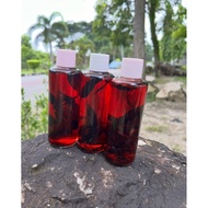 minyak urut tradisional 100% akar2 kayu (botol besar)