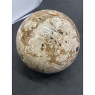 D7210 Natural Raw Ore/Premium Amber Cherry Blossom Ball Free Seat Hand Polished