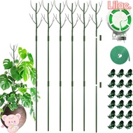 LILAC Plant Support Pile Stand, Plastic 43.3" Plant Support Stakes,  Detachable Plants Support Plant Climbing Frame Outdoor Indoor