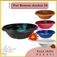 POT BONSAI AZALEA POT AZALEA 25 POT BONSAI MURAH