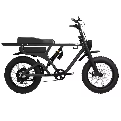 BSK Customizable 52V 1000W Full Suspension Electric Bike 20-Inch Fat Tire E-Bike with Cut off Mechan