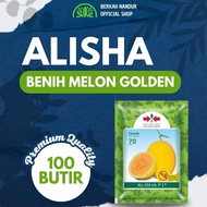 READY STOCK Benih Melon Alisha + Benih Melon Golden Alisha + Alisha Melon + Panah Merah Alisha Murah