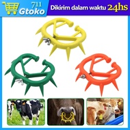 Ring Sapi Cincin Duri Hidung Sapi Bull Ring Nose Cincin Sapi Kerbau Tendok Keluh Artupic Bahan Plast