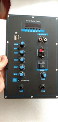 Mạch loa kéo 300w