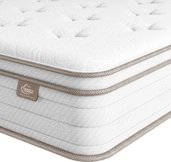 Air Mattresses 10 Inch Sleep Cooler Eggshell Memory Foam and 7 Zone Pocket Innerspring Hybrid Mattre
