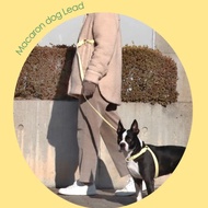 Yellow MM, Beige SM.MS In Taiwan Pet Leash Can Be Carried On Side Supplies/Korea Inherent-Macaron Co