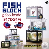 Fish Block กล่องปลากัด ตู้ปลากัด ตู้ปลา ปลาสวยงาม ปลาเล็ก โคตรคูล ดีไซน์ทันสมัย ไม่ซ้ำใคร พร้อมไฟ LED