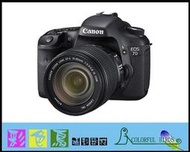 彩色鳥 (相機出租 鏡頭出租) Canon EOS 7D (APS-C旗艦機+每秒8張高速連拍)