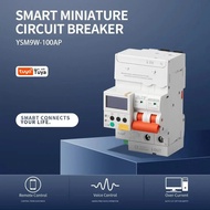BNJG EAST Tuya YSM9WSeries 6KA 100A Din Rail Wifi Smart MCB 50Hz 2p 230V Copper Miniature Circuit Br