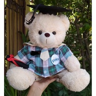 IPEKA Bella bear import doll