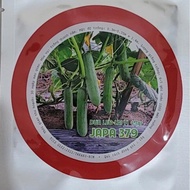 Hạt Giống Dưa Leo lai F1 Takaku Japa 379 (Gói 10G)