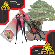 Mmj GARDEN-bonsai bonsai Vise bonsai Tool set 3 in 1 shinji taiwan Convex, Tilt & Scissors carbon 21