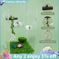 E7-4pcs Jumping Spider Hide Glass Ball Habitat Cloud Platform Ledges Jumping Spider for Decorating J