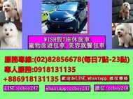 WISH假7座車台北.新北.基隆往返南投租車加司機寵物包車一日12小時服務