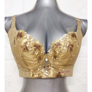 40D/90D PLUS SIZE BRA 5 HOOKS - WIRED