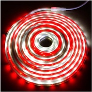 MERAH Red and White LED Strip Lights 5M Hose 5 meters Complete Package AC 220V Decorative Lights Aug