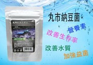 【成崧水族】水晶蝦糧 蝦蝦最愛 菠菜 菠菜棒飼料 納豆菌 水晶蝦飼料