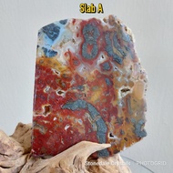 (StC) Natural Polished Marcasite in Plum Agate Slab from Indonesia - Agate Slab - Crystal Display - 