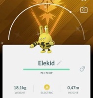 電擊怪藍隊背景 電擊怪 色違 背背龍 Lapras 拉普拉斯  Pokémon GO