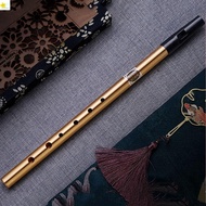 POLOSPORT Irish Whistle Flute, 6 Hole Professional Ireland Flute, Musical Accessories Alloy Gift Mus