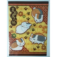 A3 Size File Authentic Licensed Products