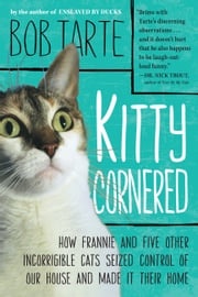 Kitty Cornered Bob Tarte