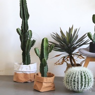 PU Artificial Cactus Mexican Measuring Stick Cactus Artificial Green Plant Fake Potted Plant Window 