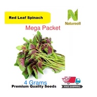Mega Packet Red & Green Spinach Seeds 4 Grams (Free Shipment by Choosing Normal Post)