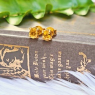 天然黃色藍寶石尺寸 4×5 毫米 9K黃金耳釘