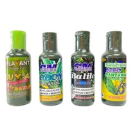 HAPLAS Liniment Oil 60ml