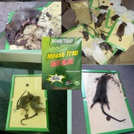 MOUSE TRAP RAT GLUE Gam tikus pembunuh tikus serangga lain Gam perangkap tikus, cicak, nyamuk, lipas