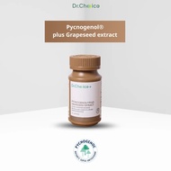 [ขวดน้ำตาล] Pycnogenol Plus grape seed extract