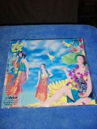 日版 酒井法子cd