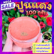 ปูนแดง (Red Lime) 🍁100 กรัม ปูนแดงทาแผลต้นไม้  ปูนแดงทาต้นไม้ homes