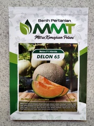 Benih Melon F1 DELON 65 10 Gram (400 biji) - Bibit Melon Hibrida DELON 65