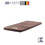 LOTUS ที่นอนยางพาราสีน้ำตาลเข้ม บรรเทาอาการปวดหลัง Latex Made In Belgium ส่งฟรี
