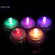 [48H Shipping] Small mini fish tank light, micro landscape light, button battery light, button light