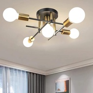 Creative Light Luxury Ceiling Lamp Nordic Iron Multi-Head Branch Shape Study Bedroom Lighting Home Lamps