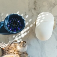 蟲蟲退散。UV紫外線殺菌按摩刷 梳毛刷