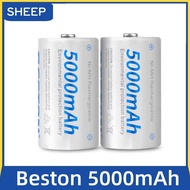 Beston 5000mAh D Size 1.2V Rechargeable Ni-Mh Battery for flashlight + Beston C821BW Charger