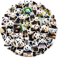 50PCS Cute Realistic Giant Panda Graffiti Stickers For Helmet Bicycle Hand Account Pencil Case Decals LanLanStickersWorld
