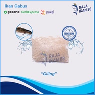 Ikan Gabus Giling / Daging Ikan Gabus Giling / Ikan Gabus (500 gr)